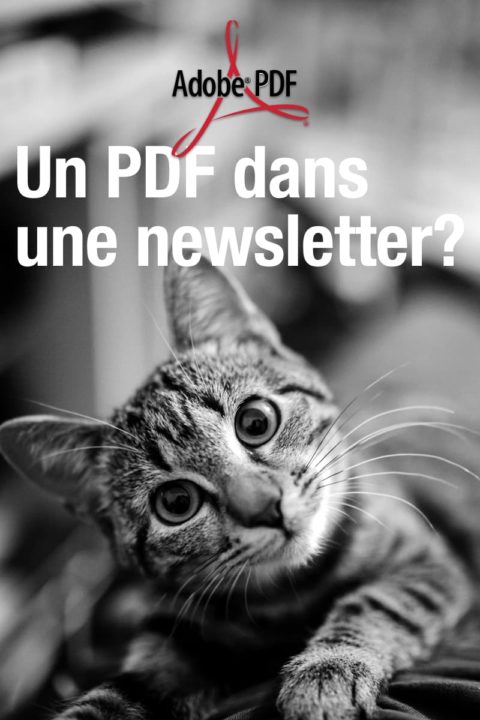 Comment ajouter un fichier PDF dans une newsletter?